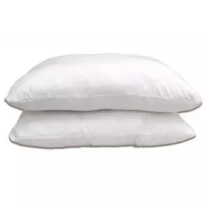 Standard 2-Pack Pillows