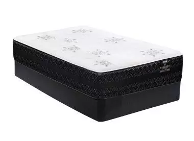 Windham Pocket Coil Twin Set