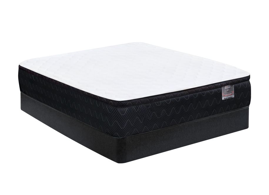 Royal Comfort Eurotop Queen Set Mattresses Surplus Furniture