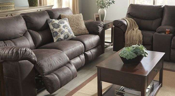 Fabric Sofas With Pets And Kids